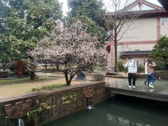 -浙江省博物馆(孤山馆区)