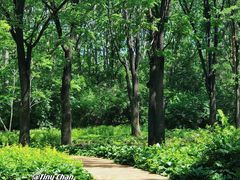 -黑龙江省森林植物园