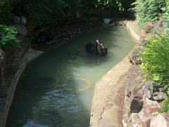 -上海虹桥迎宾馆