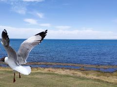 -青海湖国家重点风景名胜区