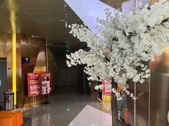 -上影国际影城(成都银泰LUXE店)