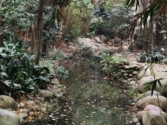 -成都市活水公园