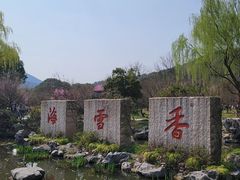 -香雪海