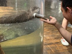 -Zoolung Zoolung动物主题公园(海信广场店)