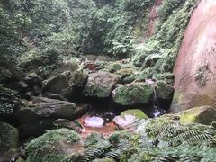 -赤水丹霞旅游区·佛光岩