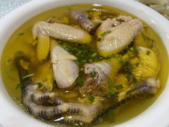 -呼吸森林·生态农庄农家乐私房菜