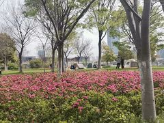 -映月湖中央公园