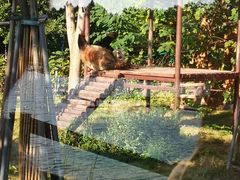 -太湖湖滨国家湿地公园-停车场