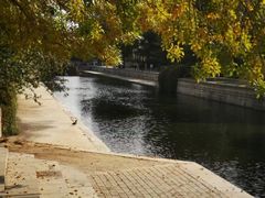 -元大都城垣遗址公园