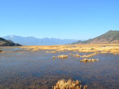 -泸沽湖国家级风景名胜区走婚桥