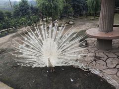 -哈尔滨北方森林动物园