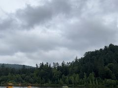 -五营红松林海景区