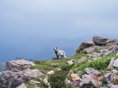 -北京灵山风景区