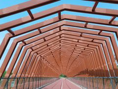 -白鹭湾湿地公园