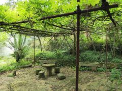-峨眉山报国寺