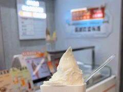 -野人先生现做冰淇淋(北京环宇荟店)