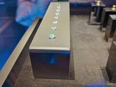 -湖南省地质博物馆