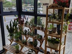 -香洲区图书馆(乐士文化区店)
