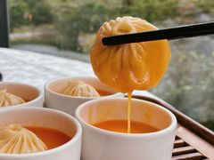 -南海渔村(珠江新城店)