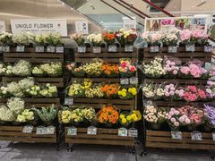 -优衣库(深圳万象天地旗舰店)
