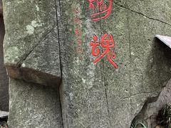 -莫干山风景区