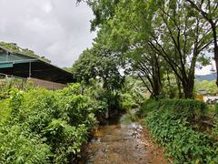 -大屏嶂森林公园