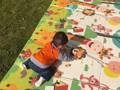 -艾溪湖湿地公园