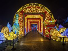 -淄博花灯齐彩城