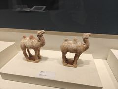 -隋唐大运河文化博物馆