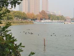 -天津水上公园