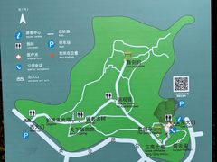 -上海佘山国家森林公园天马山园