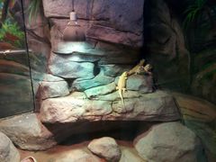 -福州罗源湾海洋世界旅游区