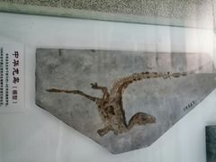 -福州科技馆
