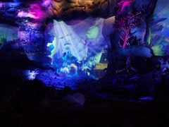 景点-大同方特欢乐世界