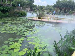 -广州莲花山旅游区