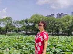 -北山公园