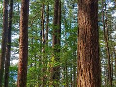 -白草畔自然风景区