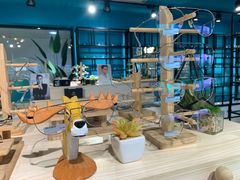 -Trend1881视光·蔡司视觉(领展广场店)