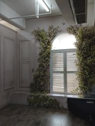 点击看大图 -同远超级童星亲子摄影(环球中心店)