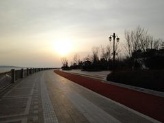 -星光岛