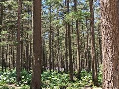 -芦芽山旅游度假区