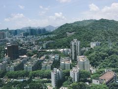 -新骏景万豪酒店·万豪中餐厅
