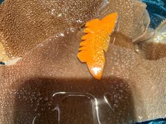 毛肚-东来顺饭庄(金泉广场店)