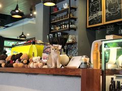 -咖法森林·咖啡  酒吧(天河店)