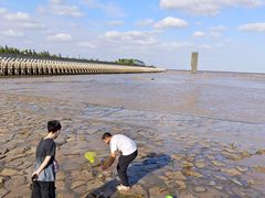 -南汇嘴观海公园