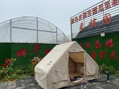 -庞各庄翠芳园西瓜蔬菜基地采摘园