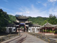 -龙翔山庄雷鸡肉(青城后山泰安古镇店)