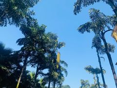 -重庆海昌加勒比海水世界