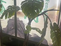 -峰厨大鱼泡饼(大寺店)