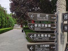 -大槐树寻根祭祖园